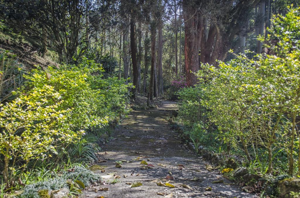 Pousada A Casa Da Fazenda Santo Antônio do Pinhal Eksteriør billede